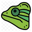 Chamaleon  Icon