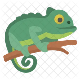 Chameleon  Icon