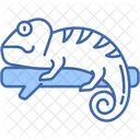 Chameleon  Icon