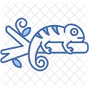 Chameleon  Icon