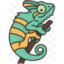 Chameleon  Icon