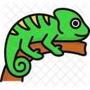 Chameleon Lizard Reptile Icon