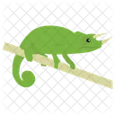 카멜레온 파충류 동물 아이콘