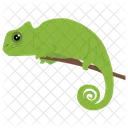Chameleon Reptile Animal Icon