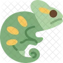 Chameleon Pet Lizard Icon