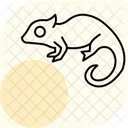 Chameleon Pet Reptile Icon