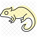 Chameleon Pet Reptile Icon