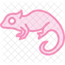 Chameleon Pet Reptile Icon