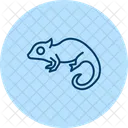 Chameleon Pet Reptile Icon