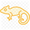 Chameleon Icon