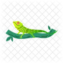 Vibrant Green Chameleon Icon