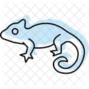 Chameleon Icon