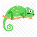 Chameleon  Icon
