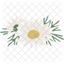 Chamomile Herbal Herb Icon