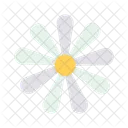 Chamomile Spring Blossom Icon