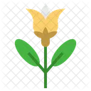 Chamomile Flower Herbal Icon