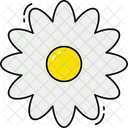 Chamomile Flower Icon