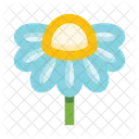 Flower Chamomile Plant Icon