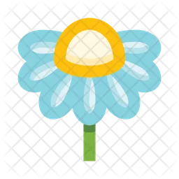 Chamomile  Icon