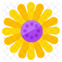 Chamomile Flower Floweret Icon