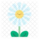 Chamomile Herb Natural Icon
