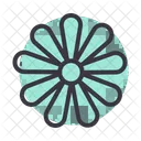 Chamomile  Icon