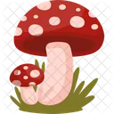 Champignon Amanite Mycetes Icône