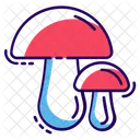 Champignons Pleurotes Champignons Icône