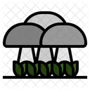 Champignon Champignon Pleurotes Icône
