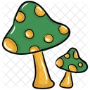 Champignons Pleurotes Champignons Icône