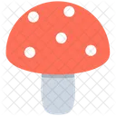 Champignons Huitres Champignons Icône