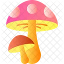 Champignon Veneneux Champignon Mycete Icône