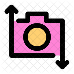 Change Camera Icon
