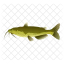 Channel Catfish  Icon