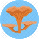 Chanterelle Mushroom  Icon
