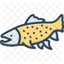 Char Fish  Icon