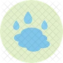 Charco  Icono