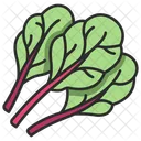 Chard Vegetable Leaf Icon
