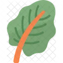 Chard Leaf Vegetable Icon