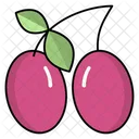 Chari Fruit  Icon