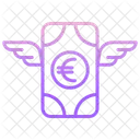 Charity Euro  Icon