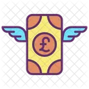 Charity Pound  Icon