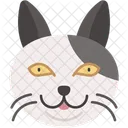 Chat Americain A Poil Dur Rare Pelage Dense Icône