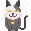 Chat Americain A Poil Dur Rare Pelage Dense Icône