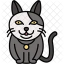 Chat Americain A Poil Dur Rare Pelage Dense Icône