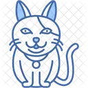Chat Americain A Poil Dur Rare Pelage Dense Icône