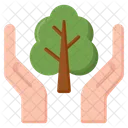 Chat  Icon