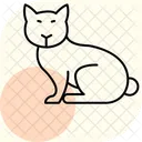 Chat siamois  Icône