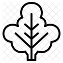 Feuille de chou frisé  Icône