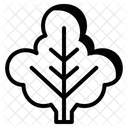 Feuille De Chou Frise Icône